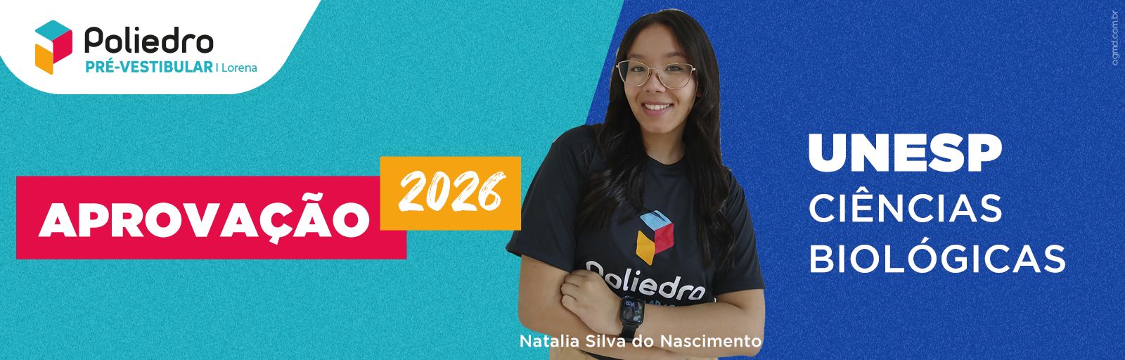 Aprovado 2025